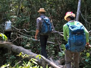 Chi Phat Trekking on a Jungle Trail
