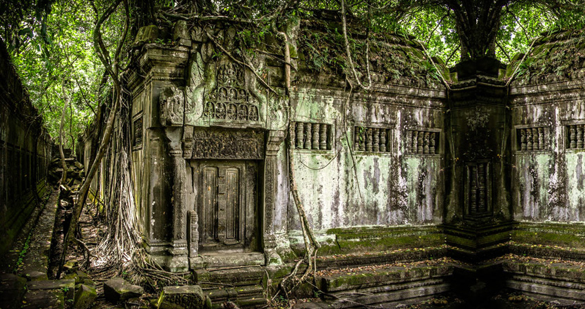 Jungle's temples tour 1Day