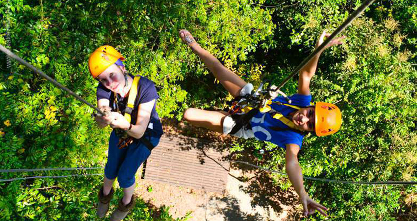 Flight of Gibbon at Angkor Wat