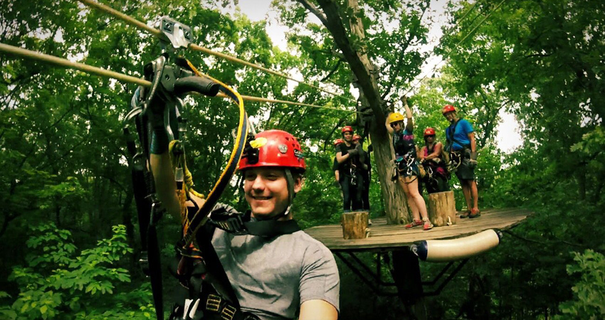 Flight of Gibbon at Angkor Wat