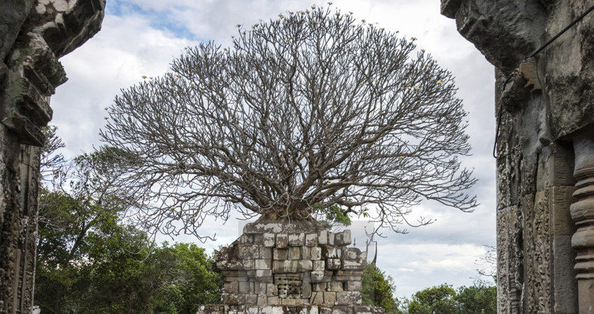 Remote temples tour 1Day