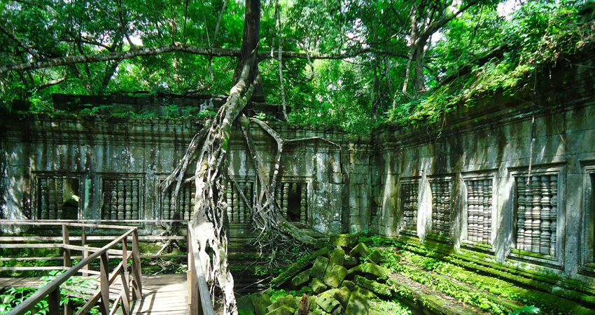 Jungle's temples tour 1Day