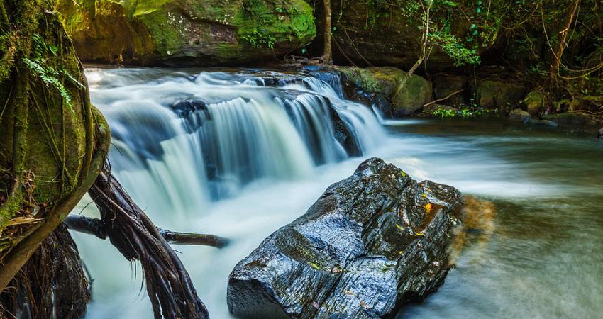 Phnom Kulen National Park Ticket