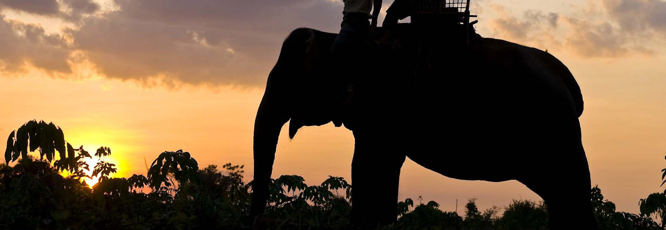 “ Other Destinations ... ”