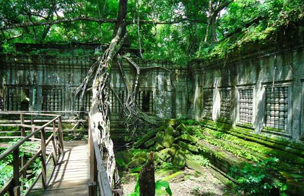 Jungle's temples tour 1Day
