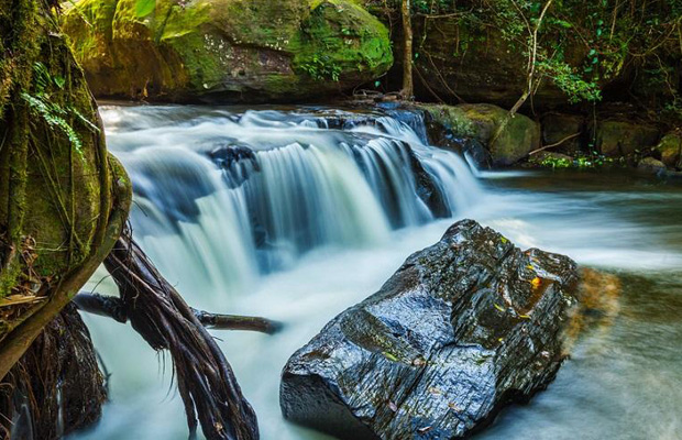 Phnom Kulen National Park Ticket