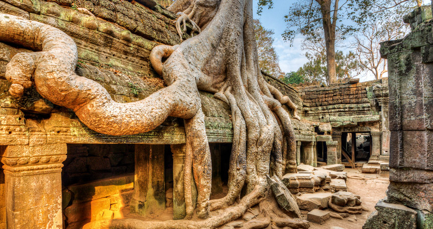 Angkor Wat Private Full Day Tour from Siem Reap